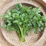 Asian Greens - Minari - Java Waterdropwort