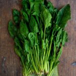 Spinach - Japanese Horenzo
