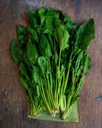Spinach - Japanese Horenzo